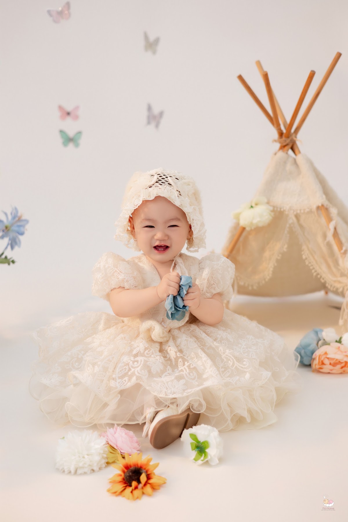 HOA BƯỚM