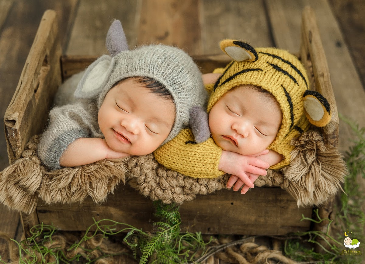 Newborn Song Sinh